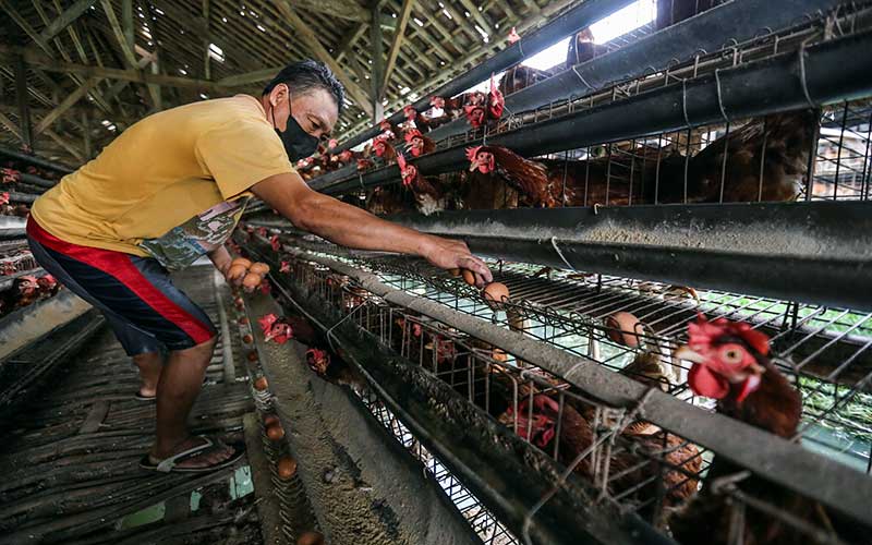 Kemendag Catat Sejumlah Harga Komoditas Pangan Mulai Merangkak Naik