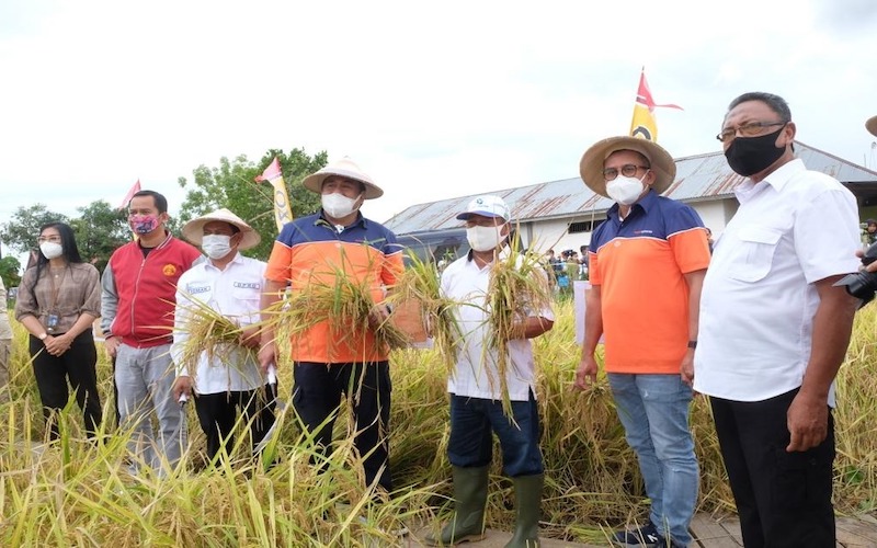 Pupuk Kaltim menginisiasi program Makmur (sebelumnya Agro Solution) fokus pada peningkatan produktivitas dan kesejahteraan petani. Kini Pupuk Kaltim bersama instansi lainnya yang berada di bawah naungan group PT Pupuk Indonesia bersama-sama menjalankan Program Makmur di seluruh Indonesia./JIBI-Istimewa