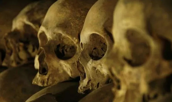 Wow Arkeolog Temukan Tulang Manusia Di Gereja Abad Pertengahan Kabar24 Bisnis Com
