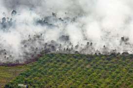 Kebakaran Hutan dan Lahan Mulai Muncul Kembali