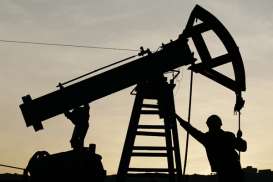 SHALE OIL & GAS, OPEC Desak AS Rem Produksi Minyak & Gas Serpih