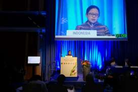 Indonesia Tekankan Pentingnya Kerja Sama Nuklir untuk Pembangunan