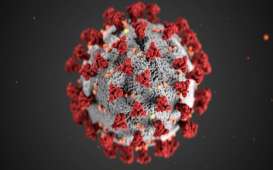 Jepang Temukan Varian Baru Virus Covid-19