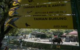 Gembira Loka Zoo Pilih Buka Terbatas Demi Tekan Biaya Operasional