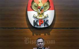 Ketua Hipmi Mardani Maming Tersangka KPK, Deputi Penindakan: Sesuai Prosedur