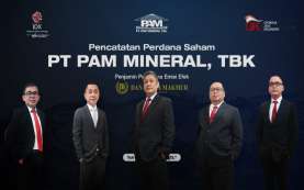 PAM Mineral NICL Genjot Produksi Nikel 2022, Tangkap Prospek Baterai EV