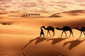 Sejarah dan Temuan Rahasia di Gurun Sahara