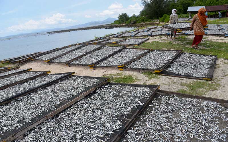 PRODUKSI IKAN ASIN MENINGKAT - Bisnis.com