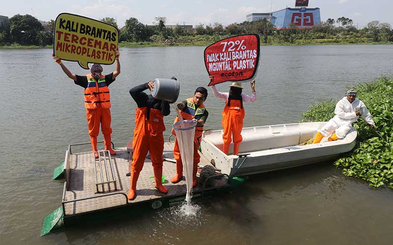 Sungai Brantas Tercemar Mikropalstik Yang Membahayakan Manusia - Bisnis.com