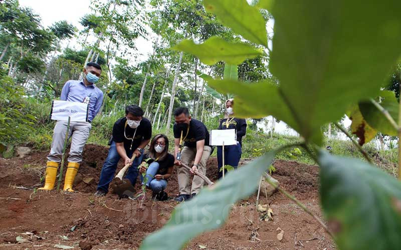 Bank BJB Lakukan Penanaman Bibit Pohon Kopi Di Kawasan Perbukitan Kaki Gunung Manglayang