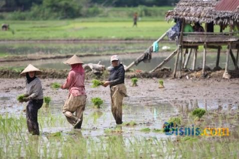 Kondisi Indonesia tidak jauh berbeda dari China. Permintaan pangan diperkirakan akan terus meningkat seiring dengan pertumbuhan penduduknya.  - bisnis.com