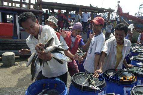 Nelayan dengan ikan hasil tangkapannya  - bisnis.com