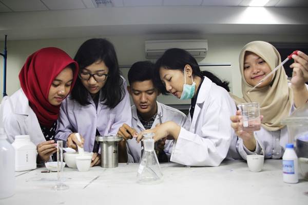 Bone Graft Mahasiswa Biomedik Unair Berhasil Ciptakan Pengganti Massa Tulang Dari Terumbu Karang Kabar24 Bisnis Com