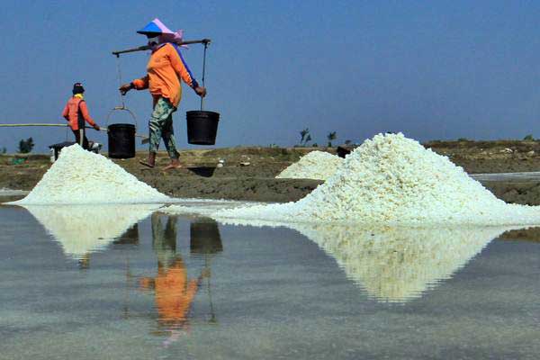 Australia Berlimpah Garam Indonesia Masih Impor Ini Penjelasan Lipi Ekonomi Bisnis Com