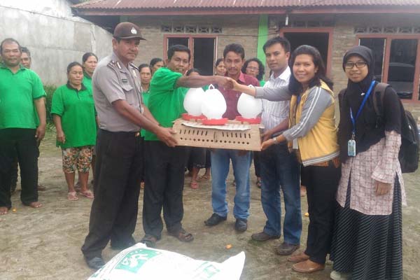 PT Toba Pulp Lestari Tbk menyerahkan bantuan 900 ekor ayam organik kepada kelompok tani Mandiri Persada Jaya di Toba Samosir, Sumatra Utara. - Istimewa