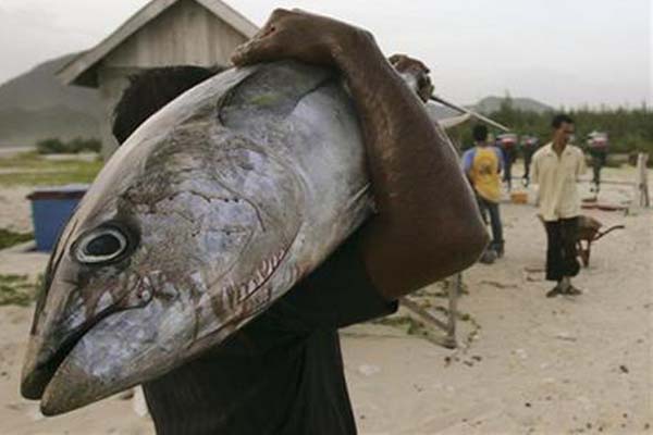 Seorang nelayan di Lampuuk, Banda Aceh, memanggul ikan tuna. - Reuters/Tarmizy Harva