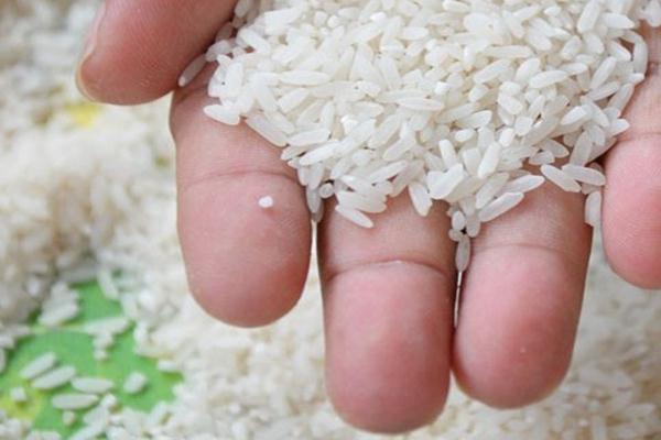 Harga beras ir 64 25 kg 