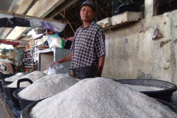 Musim Panen Harga Beras Di Semarang Masih Tinggi