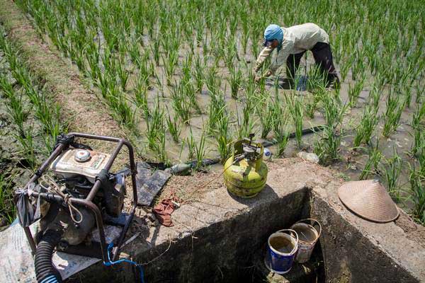 Ilustrasi: Petani menggarap lahan pertanian dengan bantuan mesin pompa air berbahan bakar gas elpiji 3 kg untuk irigasi. - Antara/Mohammad Ayudha
