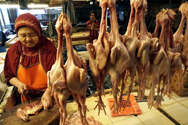 Harga Ayam Tinggi, Pedagang Bandung Raya Akan Lakukan Pemogokan