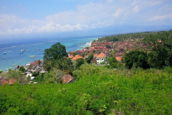 Nusa Penida Dijadikan Pusat Pelestarian Sapi Bali