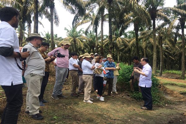 Managing Director Asian Agri Group, Kelvin Tio sedang memberikan pemaparan pengelolaan kebun kelapa sawit kepada para delegasi negara-negara Uni Eropa di Tungkal Ulu, Jambi (17/4). - Bisnis/Thomas Mola