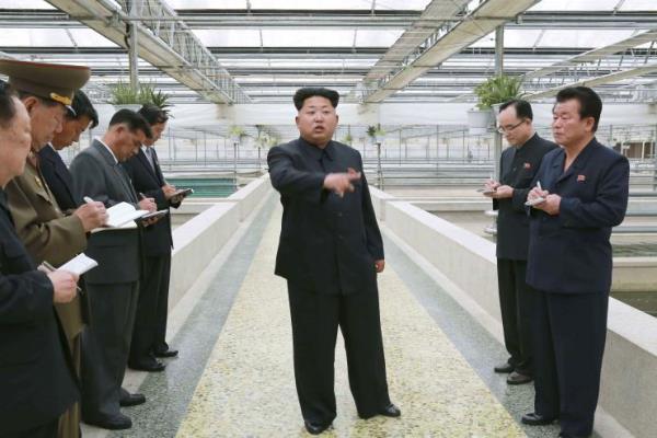 Presiden Korut Kim Jong Un (tengah) - Reuters/KCNA