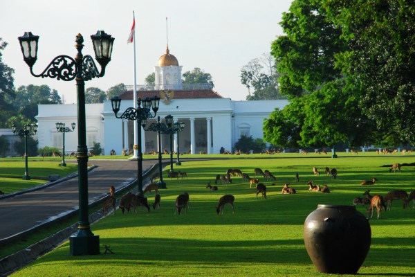 Istana Bogor - Ilustrasi/google.com