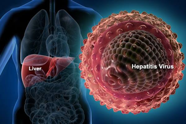 Cara penularan hepatitis b