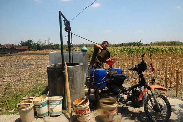 Waspadai Musim Kemarau Panjang Di Sejumlah Daerah Ekonomi Bisnis Com