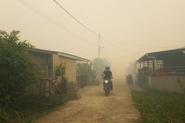 Seorang pengendara motor melintasi perumahan Residence Borneo Khatulistiwa yang diselimuti kabut asap di Sungai Raya, Kabupaten Kubu Raya, Kalbar, Sabtu (18/8). - ANTARA FOTO/Jessica Helena Wuysang