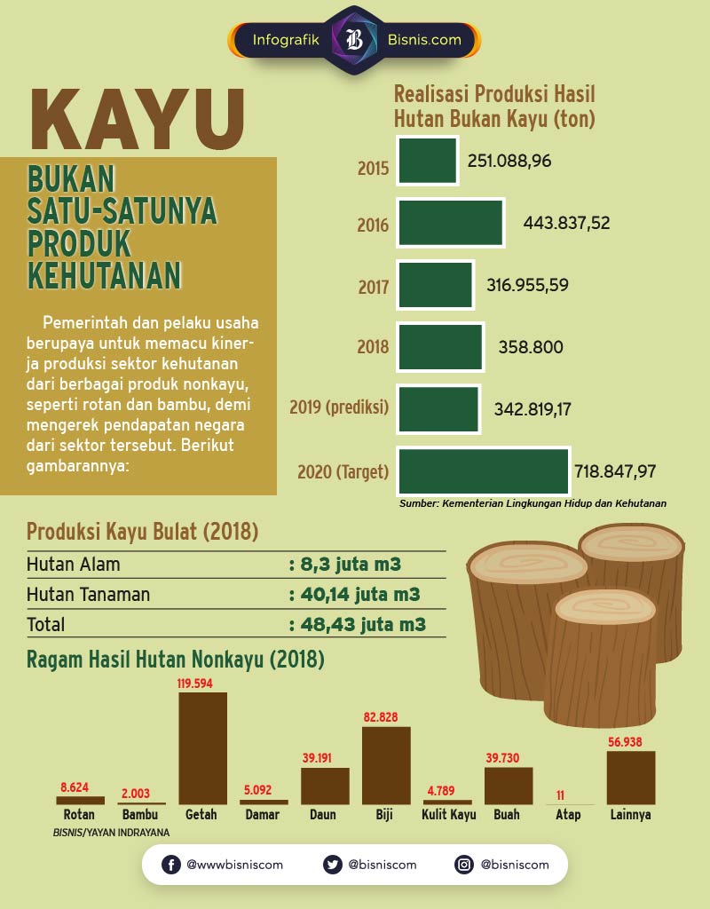  Hasil  Hutan Bukan Kayu Calon Primadona Kehutanan  