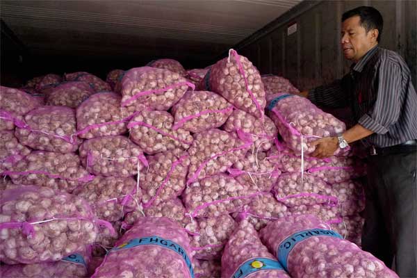Pekerja menata tumpukan bawang putih saat operasi pasar bawang putih di Semarang, Jawa Tengah, Jumat (2/6). - Antara/R. Rekotomo