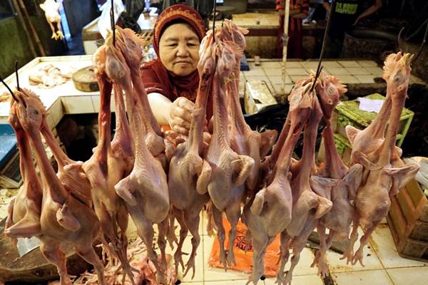 Ekspor Ayam Brasil ke Indonesia Terganjal Sertifikat Halal, Brasil Lapor ke WTO