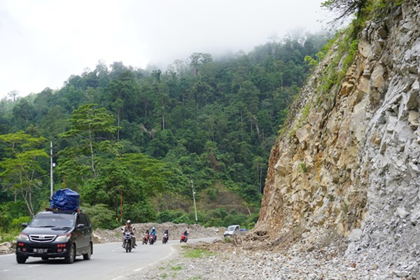 Sejumlah kendaraan melintas di Jalur Trans Sulawesi poros Tawaeli-Toboli di Kawasan Pegunungan Kebun Kopi, Sulawesi Tengah, Minggu (2/6/2019). - ANTARA / Mohamad Hamzah