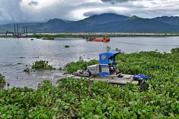 Bahaya renang di danau - terjerat enceng gondok