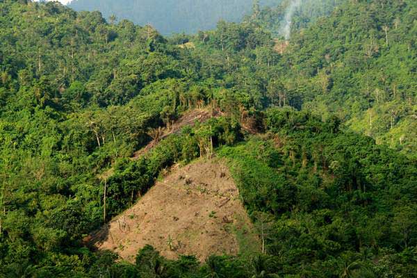 Kondisi sebagian kawasan hutan yang rusak di sekitar pegunungan Kalukku, Mamuju, Sulawesi Barat, Rabu (25/10). - ANTARA/Akbar Tado