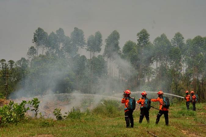 Hampir Seluruh Kawasan Di Asia Tenggara Rawan Kebakaran Kabar24 Bisnis Com