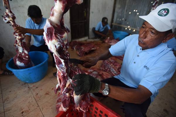 Ternyata Perlakuan Terhadap Hewan  Kurban Pengaruhi Cita 