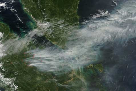 Titik Panas di Sumatra Melonjak jadi 192, Riau Terbanyak