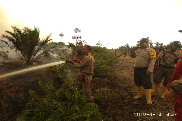100 Hektare Lahan Gambut di Musi Banyuasin Terbakar