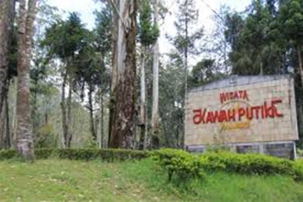 Akibat Kebakaran Hutan Kawasan Ciwidey Ditutup 