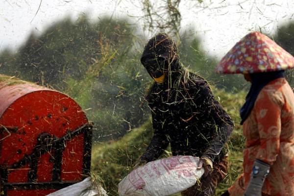 Gubernur Sumut Tegaskan Tak Beri IMB di Atas Lahan Pertanian