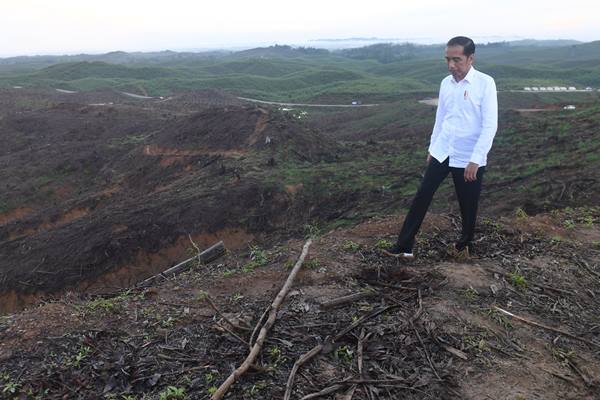 Presiden Joko Widodo saat meninjau lokasi rencana ibu kota baru di Sepaku, Penajam Paser Utara, Kalimantan Timur - Antara