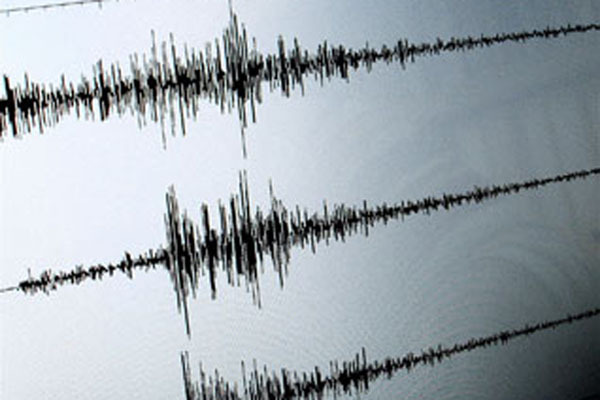 Ilustrasi-Grafik hasil pencatatan seismometer/seismograf, alat pencatat besaran gempa bumi. - Reuters