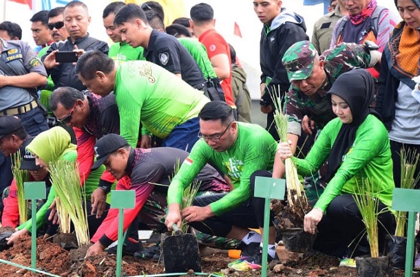 Gubernur Jabar Ridwan Kamil (kedua kanan) menanam akar wangi di sekitar bantaran Sungai Citarum Sektor VI, Dayeuhkolot, Kabupaten Bandung. - Bisnis/Wisnu Wage