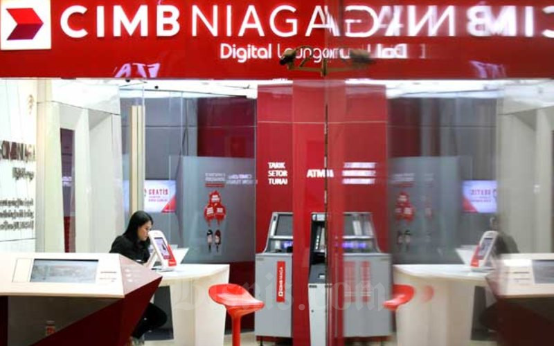 Antisipasi Dampak Corona Likuiditas Cimb Niaga Dan Bri Aman Finansial Bisnis Com