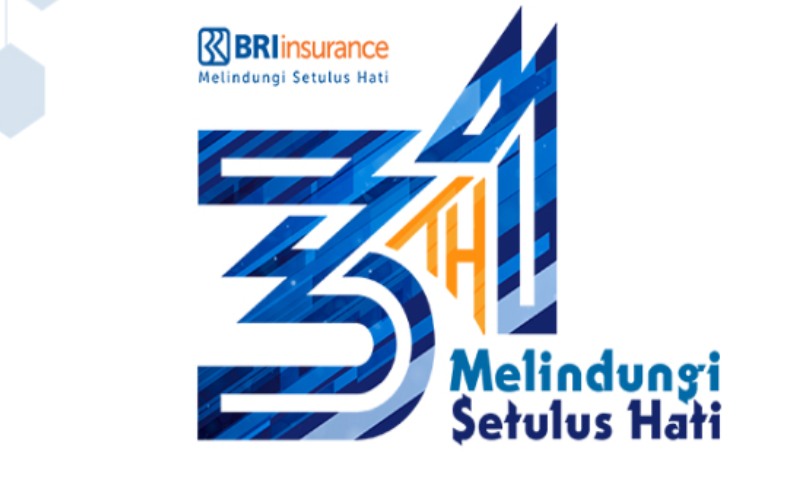 Bri Insurance Catat Kenaikan Laba 30 26 Persen Sepanjang 2019 Finansial Bisnis Com