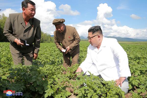 Pemimpin Korea Utara Kim Jong-un saat mengunjungi perkebunan Chunghung didampingi para stafnya, di Samjiyon, Korea Utara (10/7/2018). - Reuters/KCNA