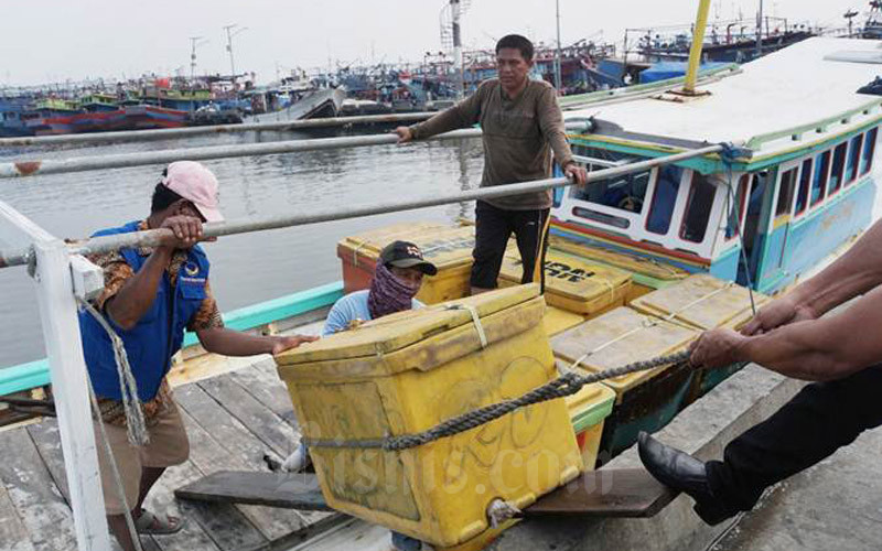 Nelayan melakukan aktivitas di Pelabuhan Muara Angke, Jakarta, Selasa (11/6/2019). - Bisnis/Himawan L. Nugraha